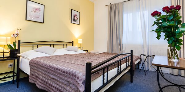 Pobyt v kúpeľnom meste Poděbrady s jedlom aj wellness