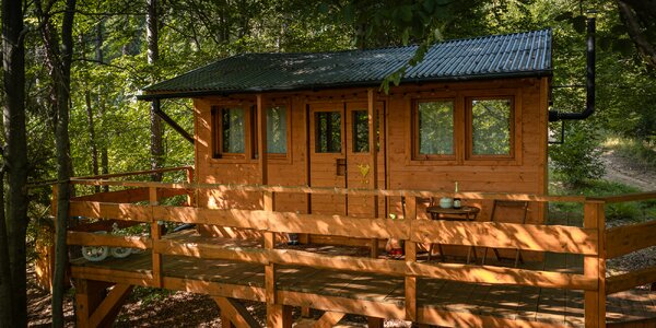 Unikátny domček na strome vo Vysokých Tatrách