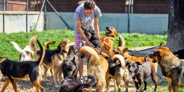 Pomoc psíkom, ktorí si druhú šancu nevedia vypýtať sami