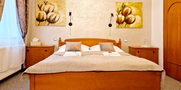 Apartmán v Trenčíne so vstupom do privátneho wellness