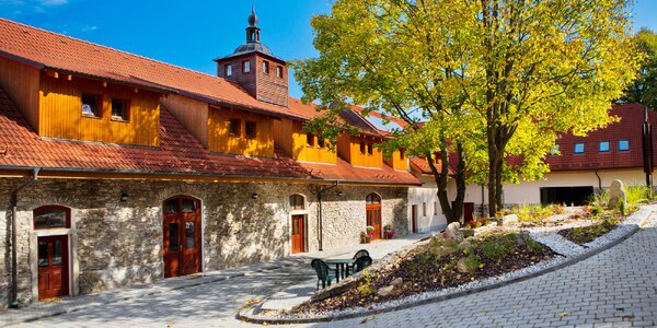 Kašperské hory: pobyt vrátane stravy a wellness