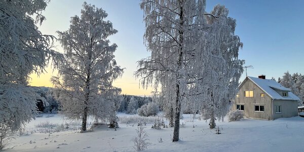 Dom v Škandinávii uprostred lesov a jazier, český majiteľ