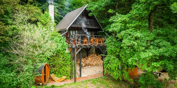 Malebná wellness chata pri lese len 7 km od Litomyšle