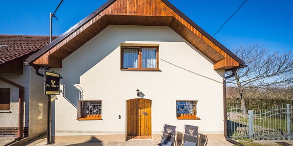 Južná Morava: chalupa s vínnou pivnicou a občerstvením