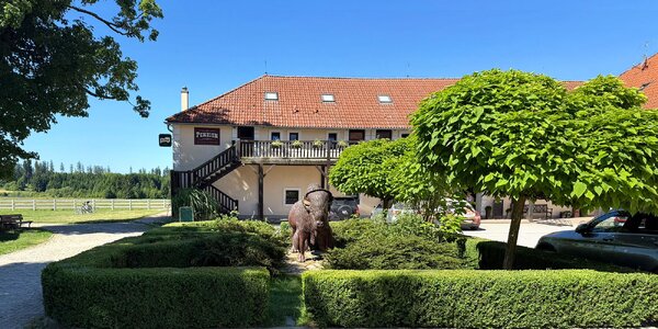 Bizoní ranč v srdci Českej Kanady: pobyt a skvelé jedlo