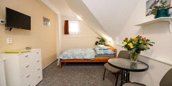 Pobyt v rodinnom penzióne, 4 km od Třeboně