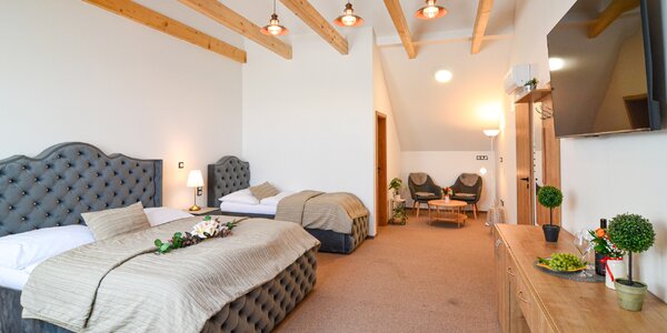 Pobyt pri Pálave s polpenziou, vínom aj vírivkou