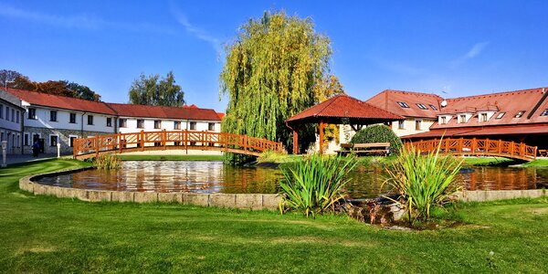 Wellness pobyt na Rakovnicku: jedlo a až 12 procedúr