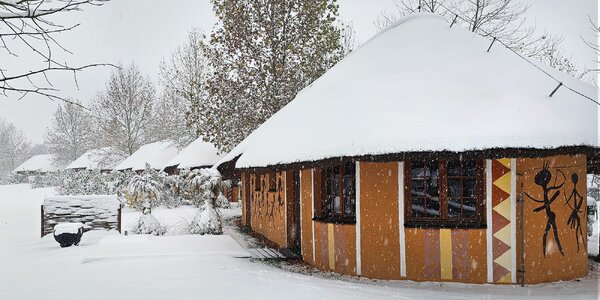 Pobyt v Safari kempe vrátane vstupu, raňajok a vírivky