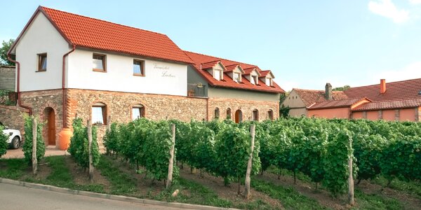 Pobyt na juhu Moravy: degustácia vína a raňajky