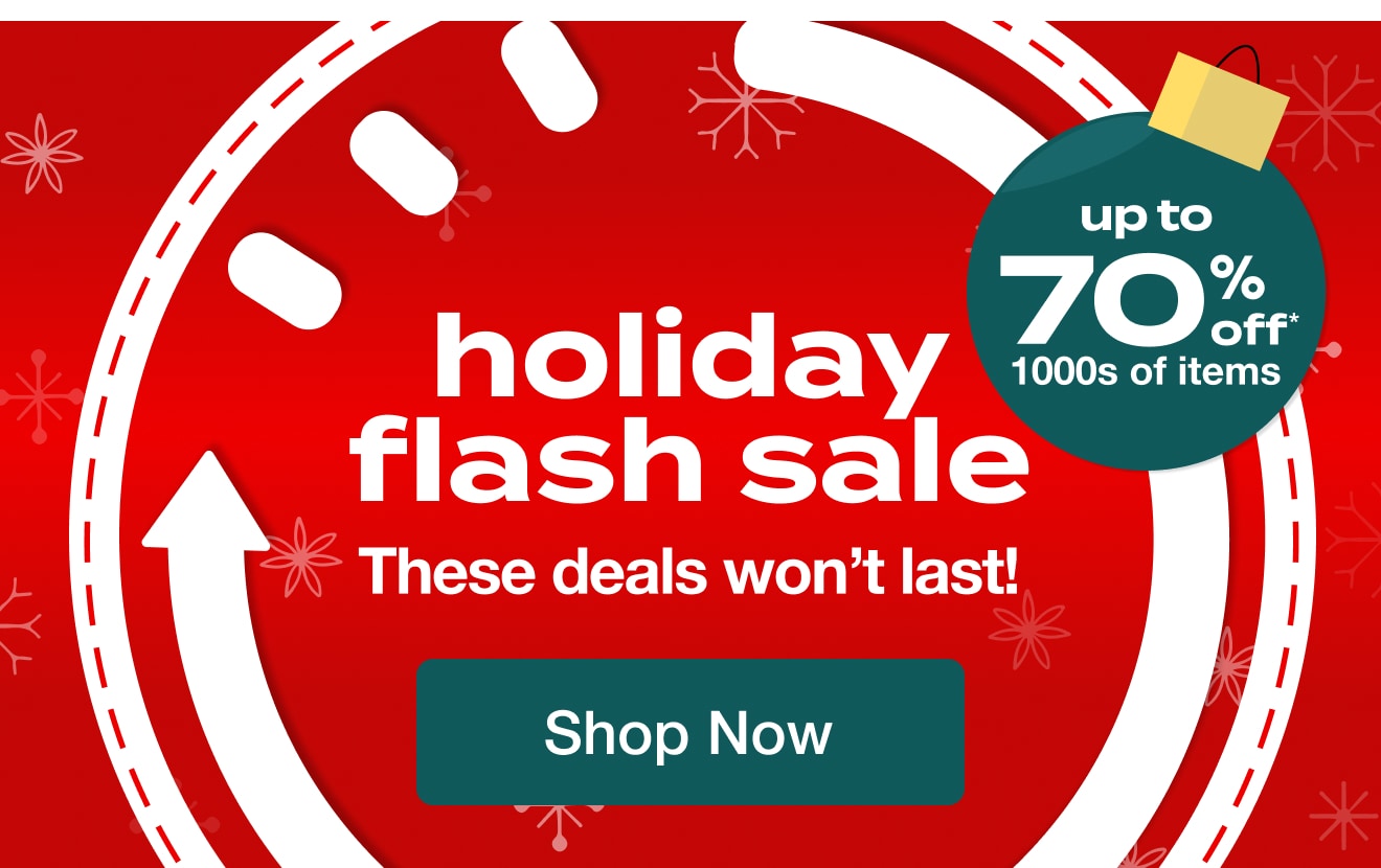 Holiday Flash Sale