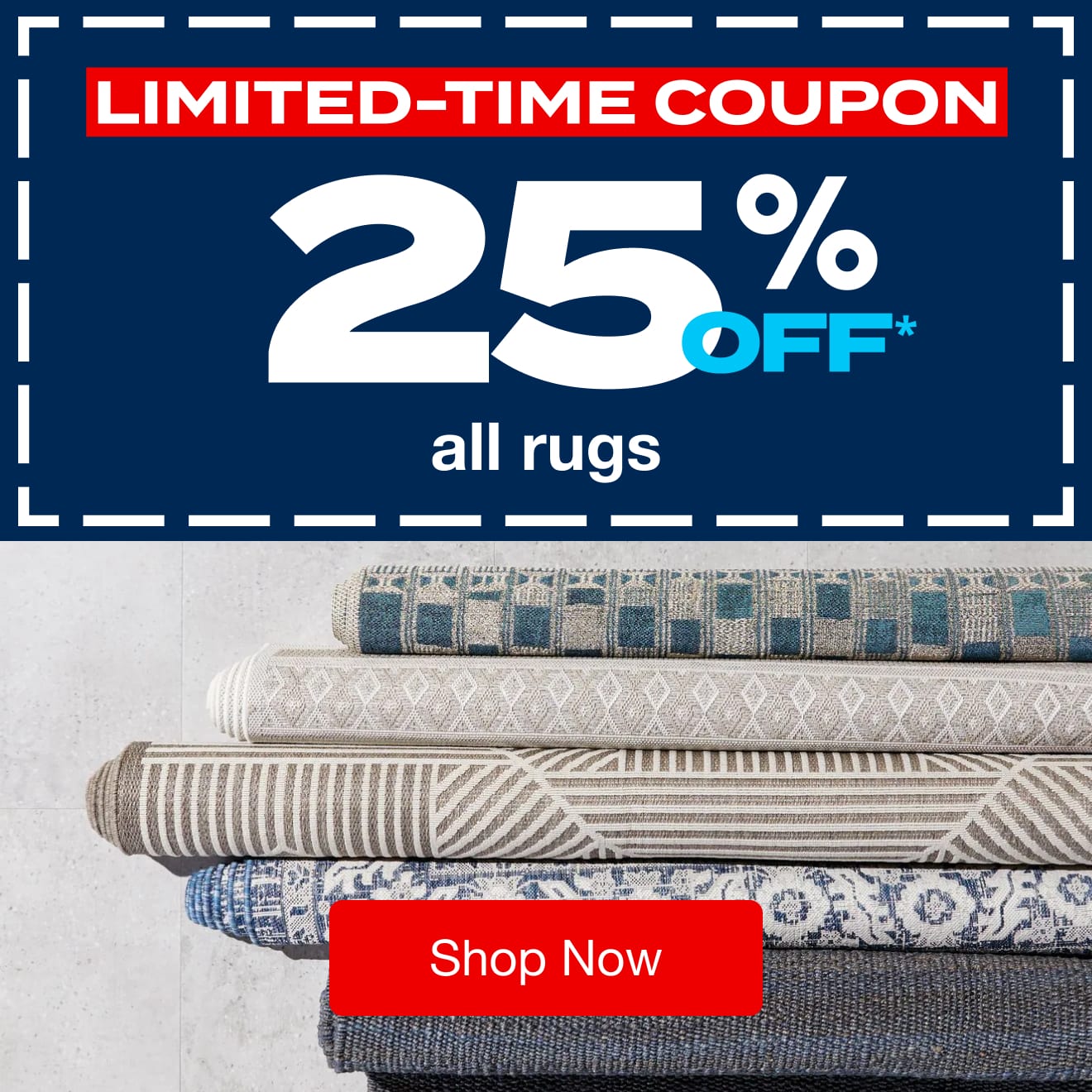 25% off ALL rugs!