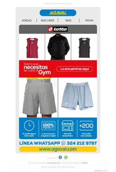 Vuelve al gimnasio con lo mejor de Lotto 💪