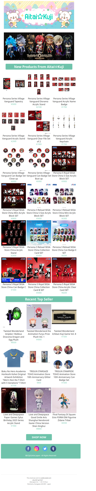 ⭐New Persona Series Village Vanguard Goods, SEGA China Items, and more!