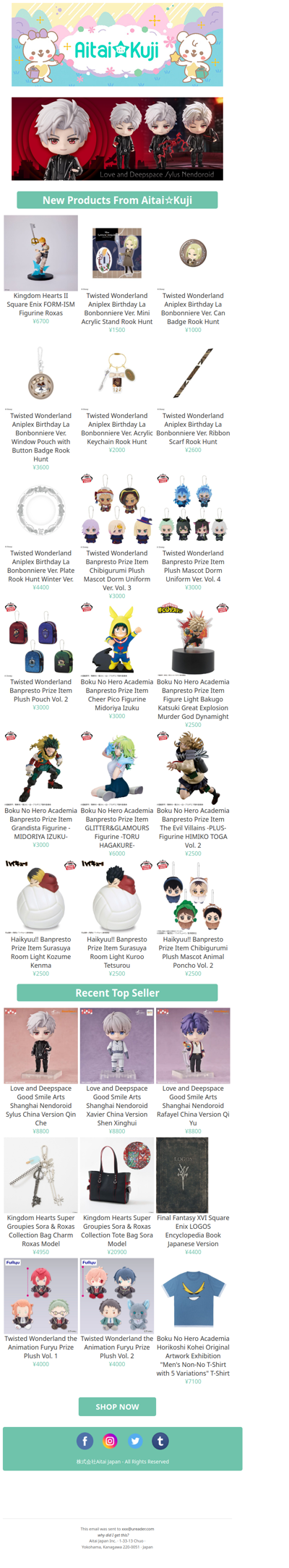 ⭐New Kingdom Hearts II Roxas FORM-ISM Figurine, Twisted Wonderland Goods, and more!