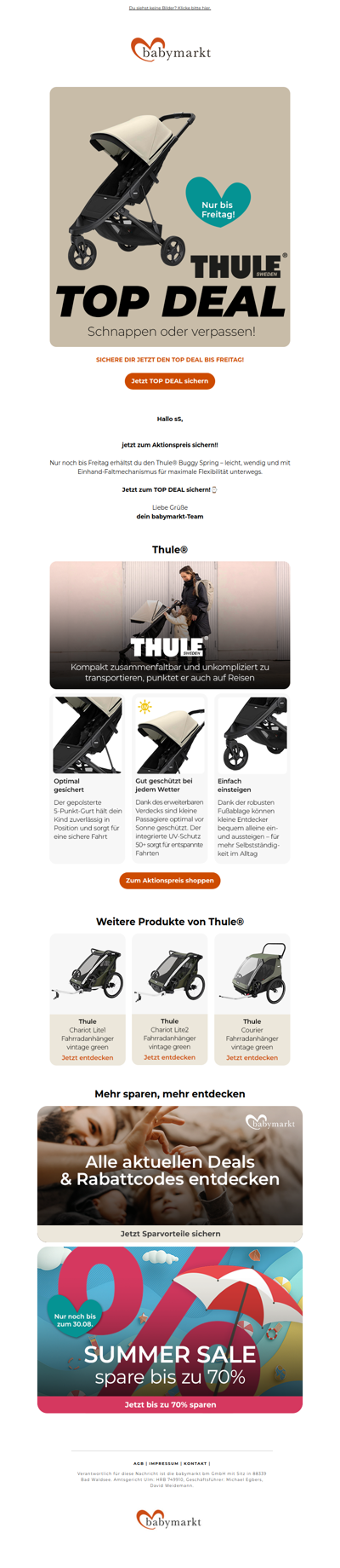 Thule® Buggy Spring zum Aktionspreis🔝⏰
