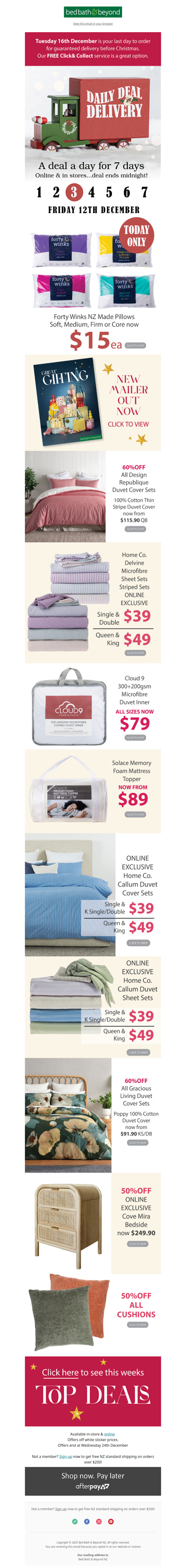 Deal of the Day 🎁 TODAY ONLY