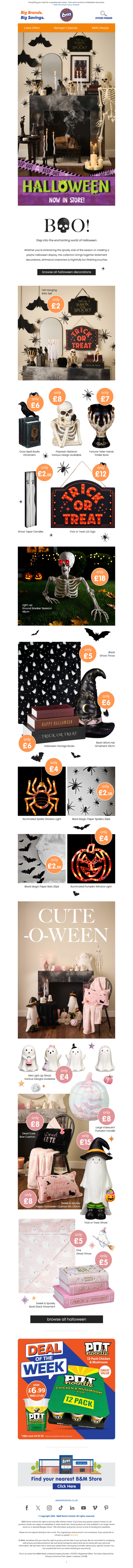 Halloween Starts Here 🎃🕷️