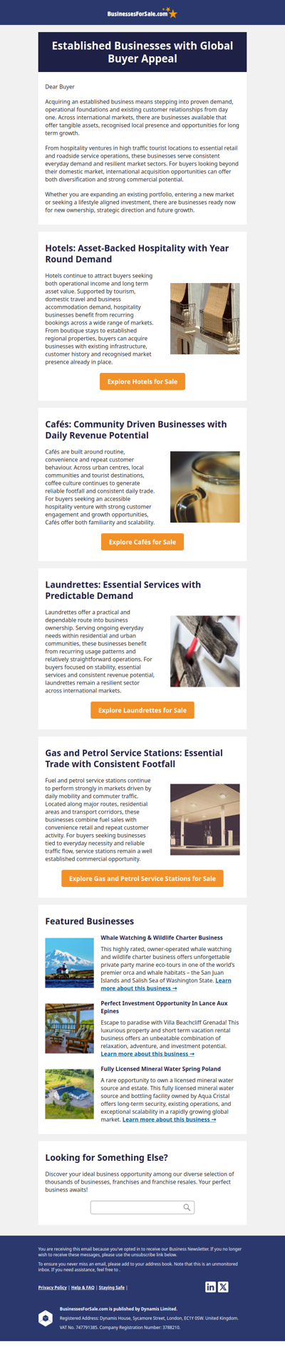 Established Businesses with Global Buyer Appeal