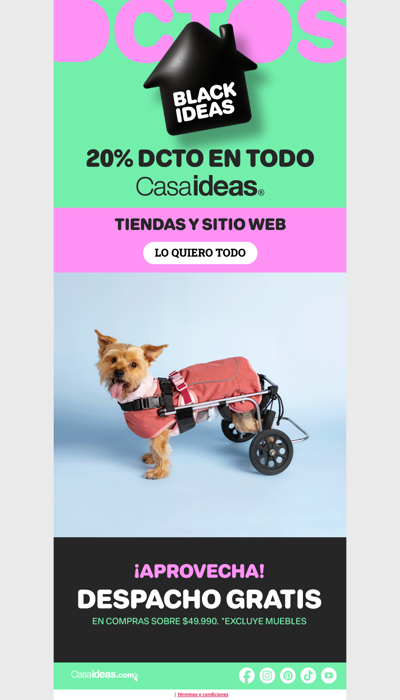 ¡Últimas horas! ¡TODO con 20% de dcto! ✨😍