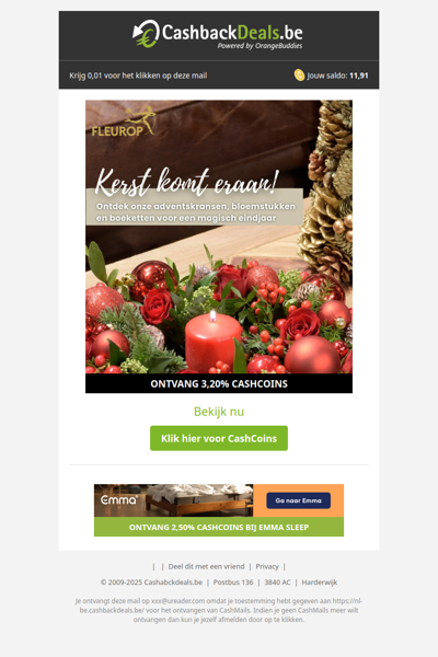 Ontdek de kerstcollectie van Fleurop!