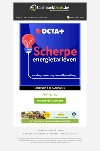 Scherpe energietarieven bij OCTA+