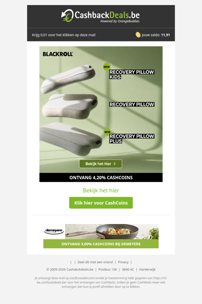 Ontdek de nieuwe BLACKROLL Recovery Pillows