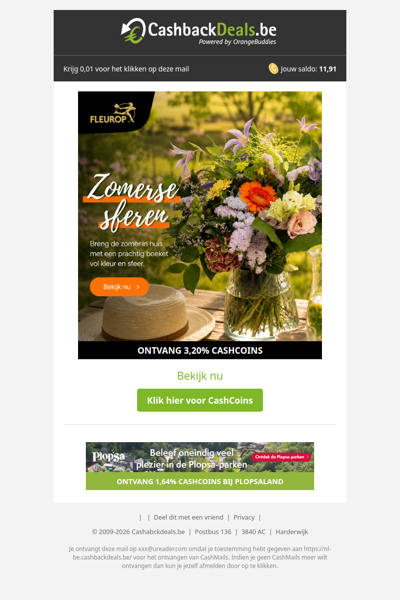 Fleur je interieur op met een zomerboeket