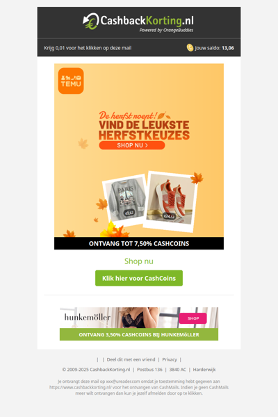 Vind de leukste herfstkeuzes bij Temu!