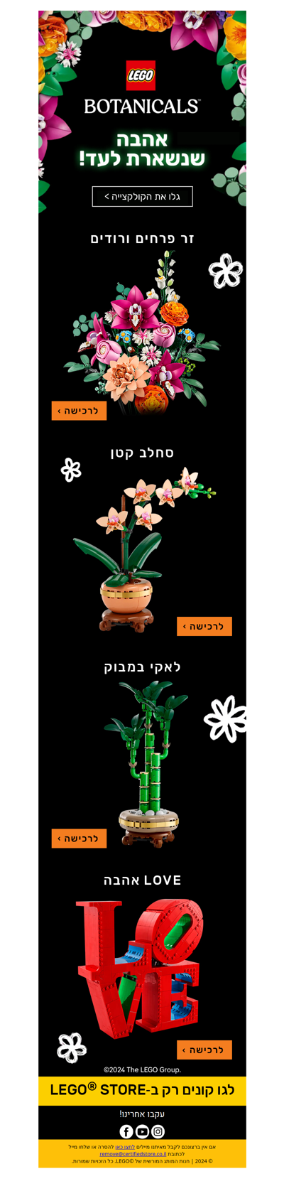 LEGO® BOTANICALS – אהבה שנשארת לעד! גלו את הדגמים החדשים >> | פרסומת