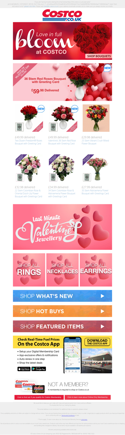 Love in Full Bloom💐 Two Dozen Roses Bouquet £49.99 Delivered