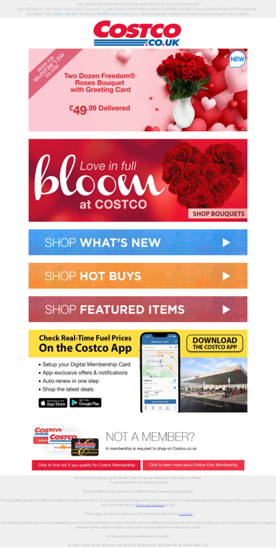 LAST CHANCE! Valentine's Day Flowers: Order TODAY for Valentine's Day Delivery