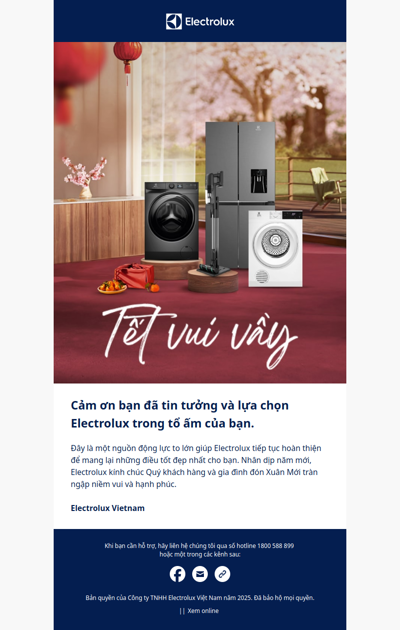 Cảm ơn bạn đã ủng hộ Electrolux trong năm 2024