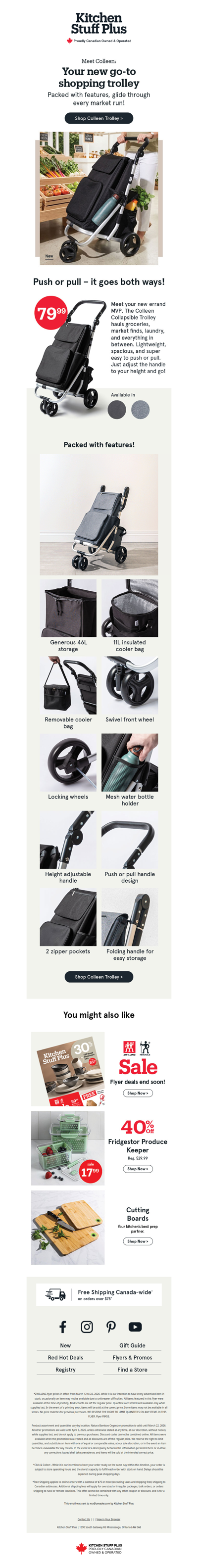 🚨New Arrival Alert