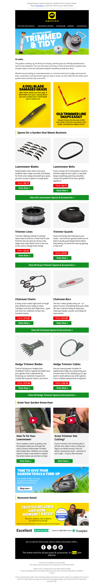 Let’s Get Your Garden Looking Lovely 🌿