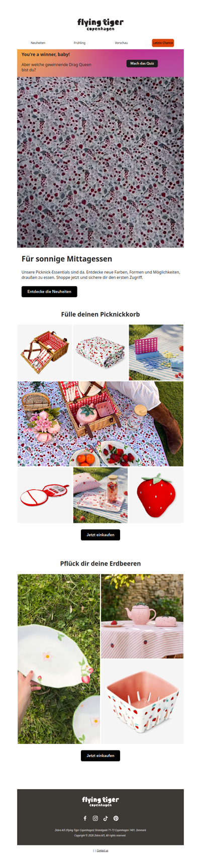 Deine Picknickpläne beginnen jetzt 🧺🍓