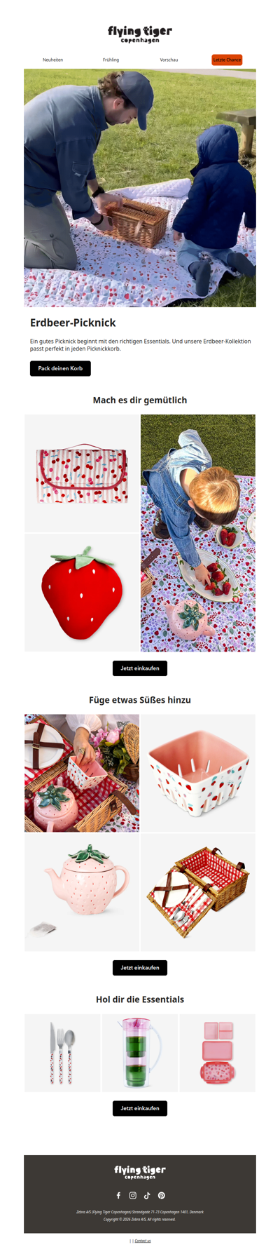 Pack deinen Picknickkorb mit Erdbeeren 🍓🧺