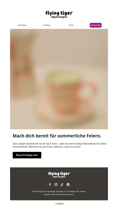 Psst … planst du schon deine Sommerpartys? 🌴🎉