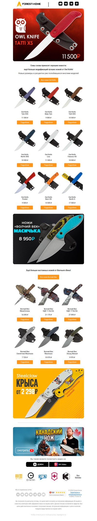 🦉 Это письмо не из Хогвартса, но его тоже принесла сова