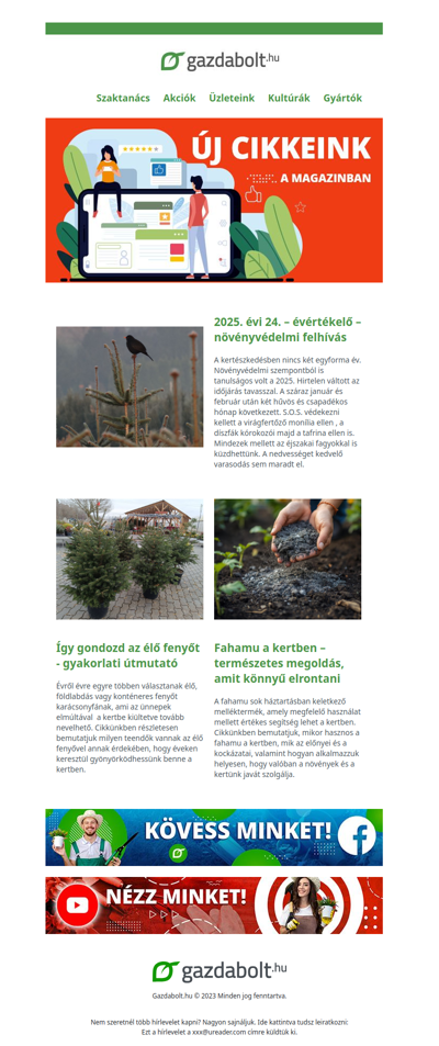 Év végi számvetés