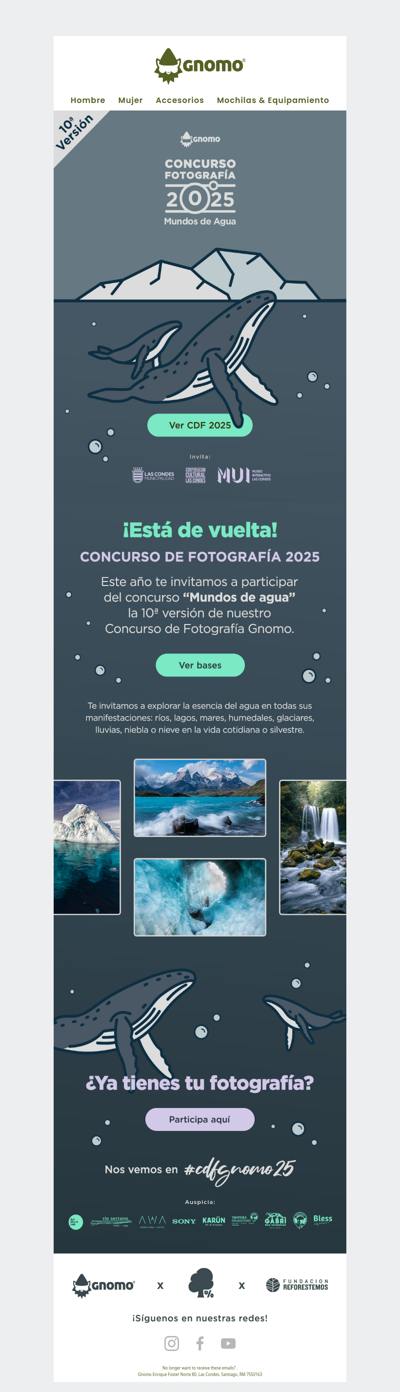 ¡ESTÁ DE VUELTA! 📸 🌊