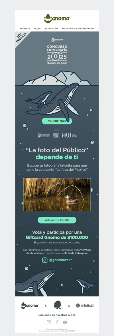 xas ¡Vota por tu favorita y gana! 📸 🐋