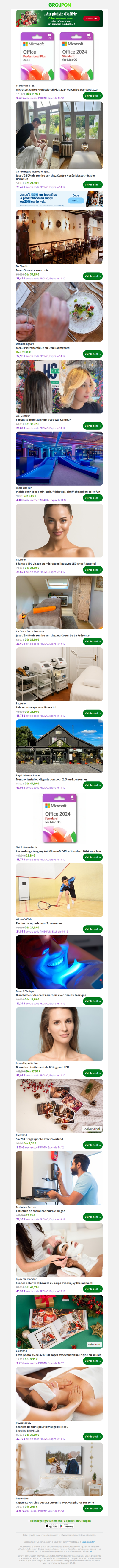 Microsoft Office Professional Plus 2024 ou Office Standard 2024