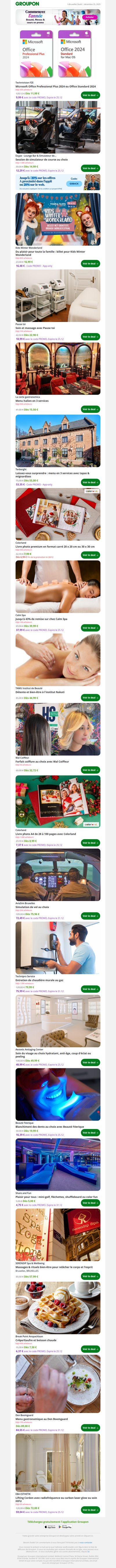 Microsoft Office Professional Plus 2024 ou Office Standard 2024