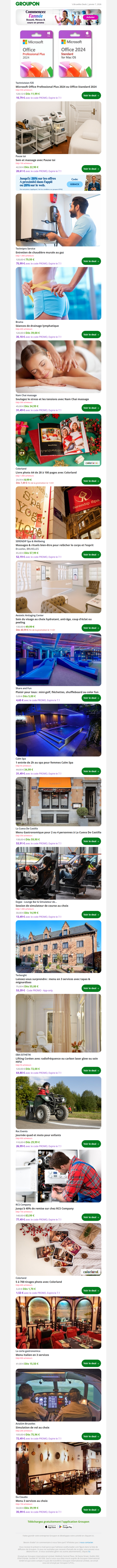 Microsoft Office Professional Plus 2024 ou Office Standard 2024