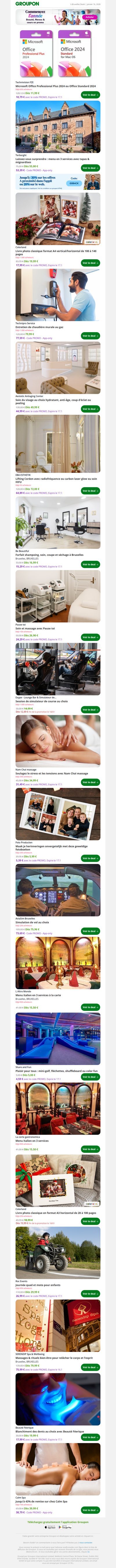 Microsoft Office Professional Plus 2024 ou Office Standard 2024