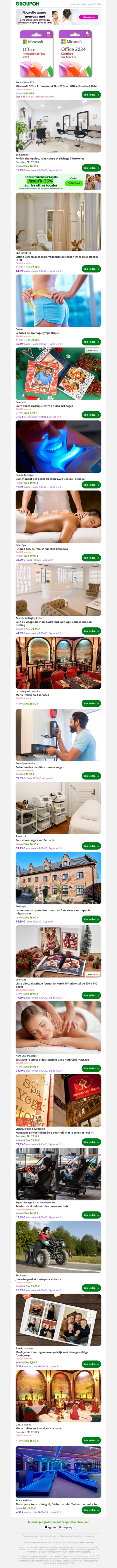 Microsoft Office Professional Plus 2024 ou Office Standard 2024