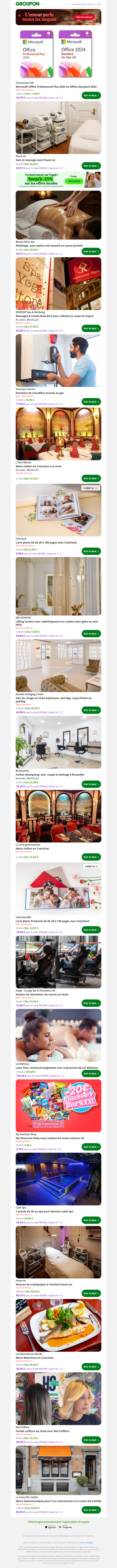 Microsoft Office Professional Plus 2024 ou Office Standard 2024