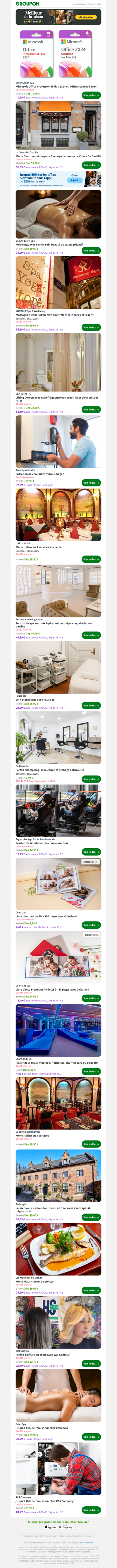 Microsoft Office Professional Plus 2024 ou Office Standard 2024