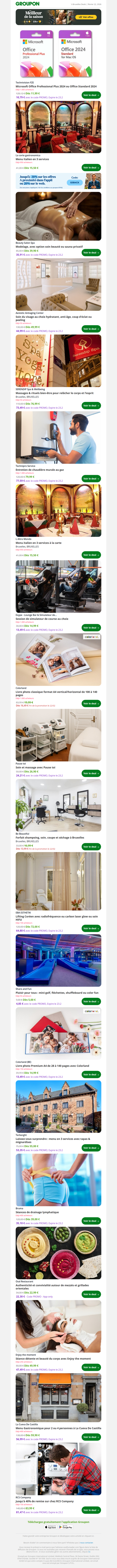 Microsoft Office Professional Plus 2024 ou Office Standard 2024